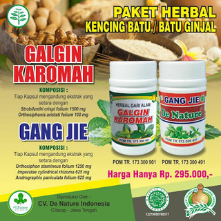 Illustration for article titled Obat Alami Untuk Penyakit Kencing Batu